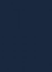 RAJSTOPY DIVERSE 100 DEN