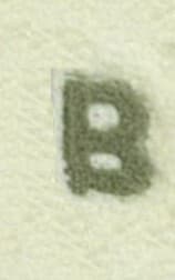 SKARPETY FROTTE LITERY