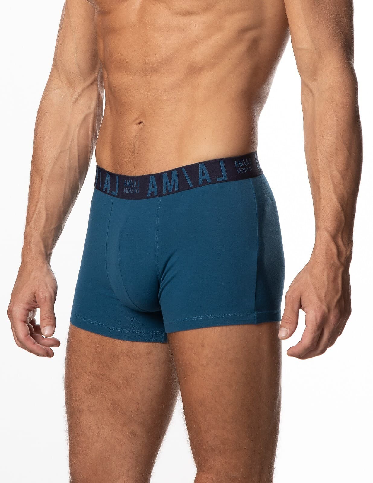 SZORTY MĘSKIE M-1048SZG