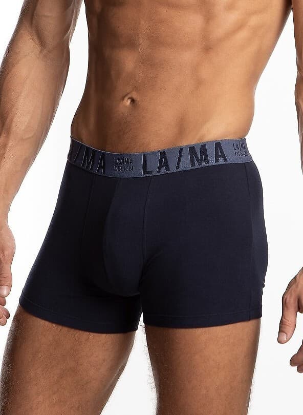 SZORTY MĘSKIE M-1048SZG